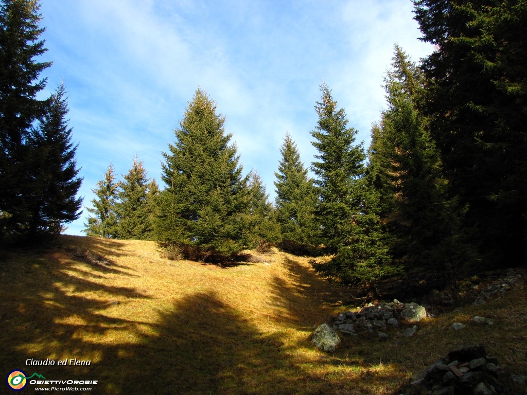 27 Scendiamo nel bosco.JPG